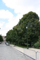 balustrade, Belgium, Brussels, day, eye level view, lamppost, natural light, street, summer, tree, vegetation