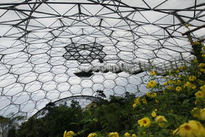 autumn, below, bush, ceiling, day, diffuse, diffused light, Eden Project, England, garden, glass, shrub, The United Kingdom