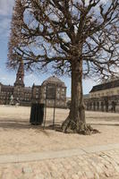 Copenhagen , day, Denmark, eye level view, Kobenhavn, sunny, tree, winter