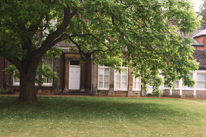 Abingdon, branch, broad-leaf tree, broad-leaved tree, day, England, eye level view, garden, grass, natural light, park, summer, The United Kingdom, tree