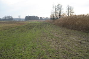 day, eye level view, field, grass, grassland, Kopanica, natural light, Poland, Wielkopolskie, winter