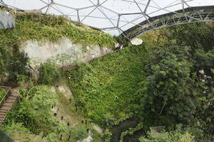 autumn, bush, day, diffuse, diffused light, Eden Project, elevated, England, garden, hanging, plant, The United Kingdom