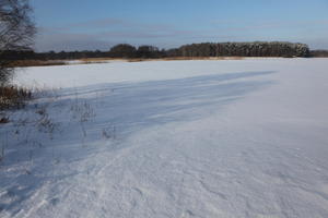 afternoon, bright, day, eye level view, field, open space, Poland, snow, sunny, Wielkopolskie, winter