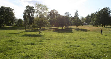 broad-leaf tree, broad-leaved tree, day, England, eye level view, grass, London, park, summer, sunny, The United Kingdom