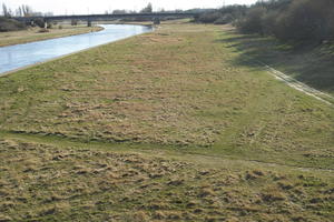 day, direct sunlight, elevated, grass, Poland, Poznan, spring, sunny, Wielkopolskie