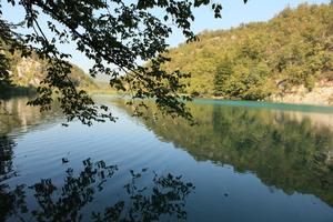 branch, Croatia, day, eye level view, Karlovacka, lake, mountain, sunny, tree, vegetation