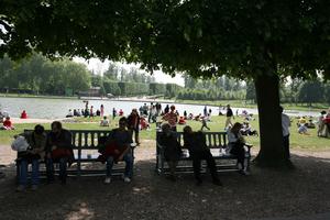 day, eye level view, France, group, Ile-De-France, Paris, park, people, sitting, spring, summer, summer, tree, trunk, vegetation