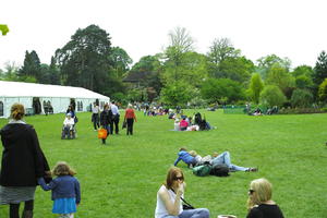 day, England, eye level view, family, garden, group, natural light, park, people, The United Kingdom, Woking