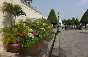 Bangkok, bush, day, eye level view, flowered bush, garden, Krung Thep Mahanakhon, potted plant, shrub, summer, sunny, Thailand