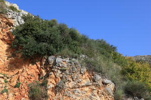 autumn, below, bright, bush, Croatia, day, Dubrovacko-Neretvanska, Dubrovnik, hill, natural light, shrubland, sunny