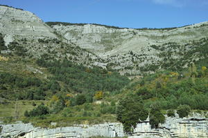 autumn, bright, day, eye level view, forest, France, mountain, Provence Alpes Cote D