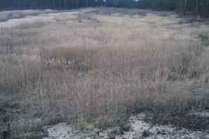 day, elevated, eye level view, field, grassland, Kopanica, natural light, Poland, Wielkopolskie, winter