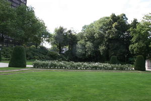 Belgium, Brussels, bush, day, eye level view, grass, hedge, natural light, park, summer, tree, vegetation