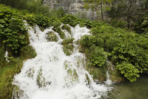 Croatia, day, diffuse, diffused light, eye level view, Karlovacka, natural light, plant, shrub, summer, waterfall