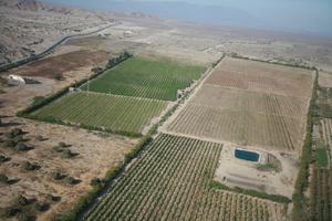 aerial view, agriculture, day, desert, field, Ica, natural light, Nazca, Peru, sunny