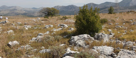 autumn, bush, Croatia, day, eye level view, moorland, mountain, rocks, shrub, sunny