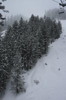 Bulgaria, day, elevated, mountain, overcast, pine, ski lift, slope, snow, tree, vegetation, winter