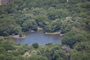 Central Park, day, elevated, lake, Manhattan, New York, park, sunny, The United States, tree, vegetation