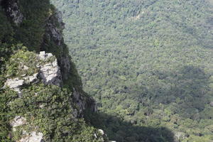 day, elevated, forest, Kedah, Malaysia, mountain, sunny, vegetation