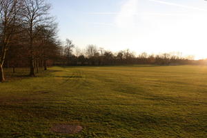 bright, dusk, England, eye level view, grass, Oxford, park, The United Kingdom, tree, vegetation, winter