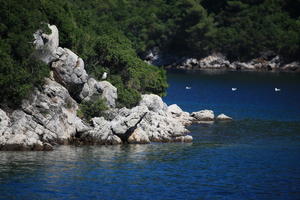 coastline, Croatia, day, eye level view, seascape, summer, tree, vegetation