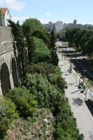 broad-leaf tree, broad-leaved tree, day, elevated, Porto, Porto, Portugal, spring, street, sunny