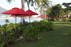 bush, cafe, day, eye level view, furniture, grass, resort, shrub, summer, sunny, Thailand, tropical, umbrella