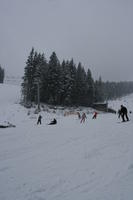 Bulgaria, day, eye level view, group, mountain, overcast, people, pine, skiing, slope, snow, tree, winter