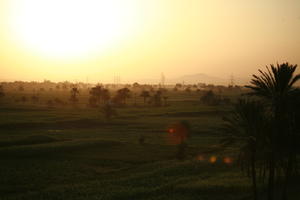 clear, dusk, East Timor, Egypt, Egypt, elevated, palm, sky, sun, sunset, vegetation