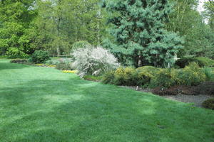 day, England, eye level view, garden, grass, natural light, park, plant, The United Kingdom, Woking