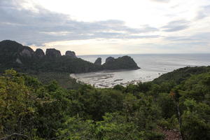 coastline, day, dusk, elevated, Ko Phi Phi Don, Krabi, natural light, palm, Thailand, tree, vegetation