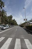 Alicante, car, day, eye level view, natural light, palm, Spain, street, sunny, Valenciana, vegetation