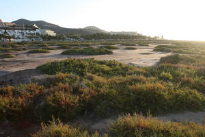 afternoon, Canarias, day, eye level view, heath, Las Palmas, Spain, spring, sunny, sunset