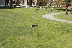 autumn, California, day, elevated, grass, group, laying, park, people, San Francisco, sunny, The United States