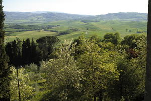 afternoon, day, elevated, greenery, Italia , Siena, spring, sunny, Toscana, tree, valley