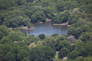 Central Park, day, elevated, lake, Manhattan, New York, park, sunny, The United States, tree, vegetation