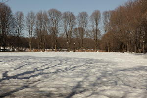 day, deciduous, eye level view, Norway, Oslo, park, snow, sunny, tree, treeline, winter