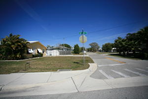 crossing, day, eye level view, Florida, Miami, natural light, palm, street, sunny, The United States, tree, vegetation, winter