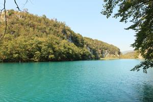 Croatia, day, eye level view, forest, Karlovacka, lake, sunny, tree, vegetation