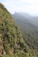 day, elevated, forest, Kedah, Malaysia, mountain, sunny, vegetation