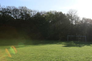 day, England, eye level view, goal, grass, London, natural light, park, sunny, The United Kingdom, tree