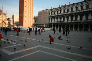 bird, casual, day, dusk, eye level view, group, Italia , people, Piazza San Marco, pidgeons, square, Veneto, Venice, winter