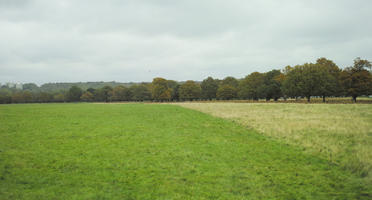 afternoon, autumn, cloudy, day, England, eye level view, grass, lawn, open space, outdoors, park, The United Kingdom, treeline, vegetation, Wimbledon