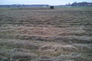 ambient light, countryside, day, eye level view, field, hay, open space, overcast, Poland, Wielkopolskie, winter, Wolsztyn