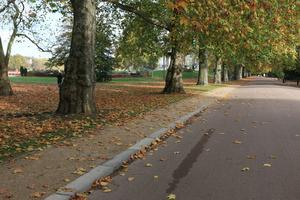 afternoon, autumn, Battersea park, day, England, eye level view, leaf, London, park, path, The United Kingdom, tree