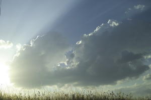 Andalucia, cloud, day, eye level view, San Pedro, sky, Spain, summer, sun glare, sunny