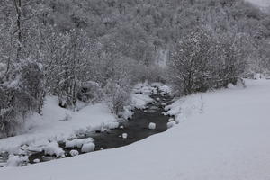 ambient light, day, diffuse, diffused light, eye level view, Italia , morning, natural light, overcast, river, snow, tree, Veneto, winter