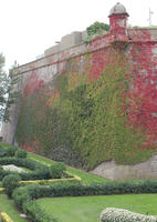 autumn, Barcelona, bush, Cataluña, day, eye level view, green wall, hedge, shrub, Spain, sunny