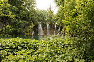 Croatia, day, diffuse, diffused light, eye level view, Karlovacka, lake, natural light, plant, shrub, summer, waterfall