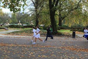 afternoon, autumn, Battersea park, child, day, England, eye level view, group, leaf, London, park, path, running, The United Kingdom, tree